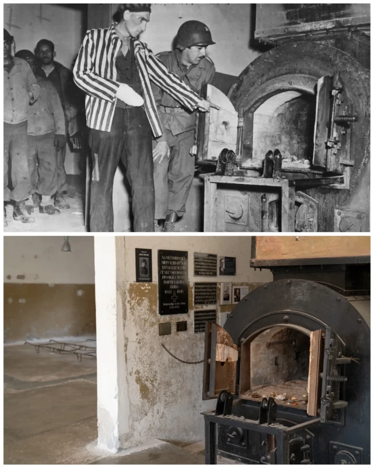concentration-camp-germany-1945