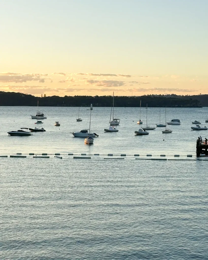 What camera do you prefer? Sony, iPhone or Film.